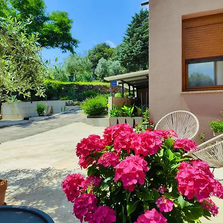 Cave With A Terrace And Free Parking Пула
